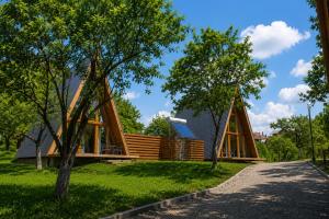 Ein Haus mit Holzverkleidung und Bäumen in einem Park in der Unterkunft Silent A-FRAME in Brăteşti + 20 Fotos