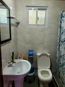 a bathroom with a white sink and a toilet at Creole Cottage Homestay in Mahe +7 photos