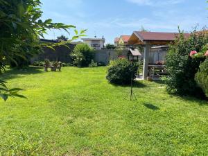 a yard with a camera in the grass at La Magnolia in Magenta +3 photos