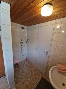 a bathroom with a shower and a toilet and a sink at Ferienwohung Lederle in Weiler-Simmerberg +8 photos