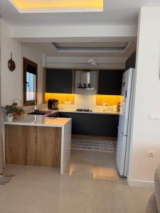 a kitchen with a white refrigerator and a counter at Villa Lost dalaman in Çakallık