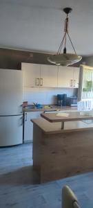 a kitchen with a white refrigerator and a ceiling at Elsternest in Neubrandenburg