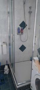 a shower with a glass door in a bathroom at Elsternest in Neubrandenburg +1 photo