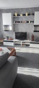 a living room with a tv and a couch at Elsternest in Neubrandenburg