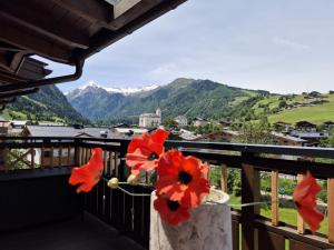 a view from a balcony with red poppies at Peak View Penthouse Kaprun in Kaprun