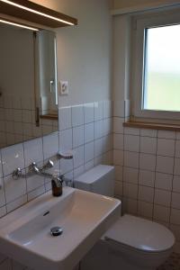 a bathroom with a sink and a toilet and a window at TheCozyHideaway in Lungern