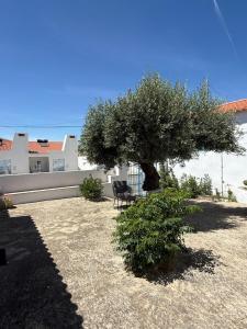 a tree in a yard with a chair under it at Casa do Pátio in Mértola