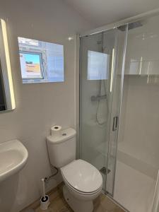 a white bathroom with a toilet and a shower at Casa do Pátio in Mértola