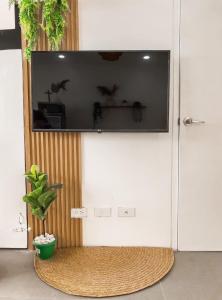 a flat screen tv on a wall with a plant at South Haven in Calo