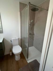 a bathroom with a toilet and a glass shower at L'escale Cognaçaise in Cognac