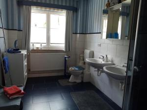 a bathroom with a sink and a toilet and a window at Haus Martin in Kurort Steinbach-Hallenberg +16 photos