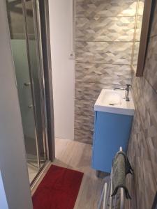 a bathroom with a sink and a shower at Calme et quiétude in Saint-Vivien-de-Blaye +14 photos
