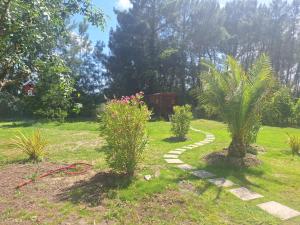 a garden with two palm trees and a walkway at Calme et quiétude in Saint-Vivien-de-Blaye