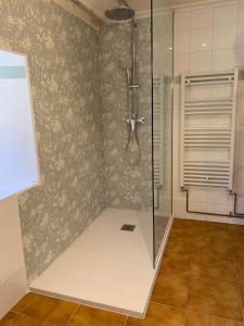 a shower with a glass door in a bathroom at Las Carminas in Soto +32 photos