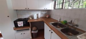 a small kitchen with a sink and a microwave at The Owls Nest in Lakeside