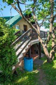 a wooden ramp leading to a house with a tree at Domek u Moni Kaszuby in Sulęczyno