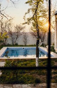 a swimming pool in a yard with a tree at Villa Verde w Warm Pool, BBQ, Concierge in Baku +25 photos