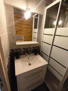 a bathroom with a sink and a mirror at Le Nid de Formiguères in Formiguères
