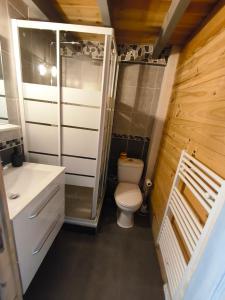 a small bathroom with a toilet and a sink at Le Nid de Formiguères in Formiguères