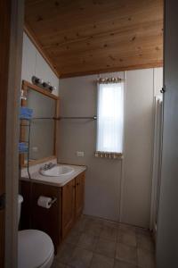 ein Bad mit einem Waschbecken, einem WC und einem Fenster in der Unterkunft Medina Lake Camping Resort Studio Cabin 1 in Lakehills