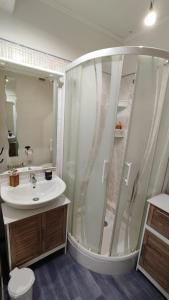 a bathroom with a shower and a sink at Solarium Mountain Studio 4 People Les Angles in Les Angles