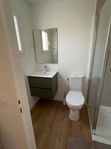 a bathroom with a toilet and a sink and a mirror at Le Nid Charentais in Cognac