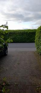 a car parked in a parking lot next to a hedge at Double Bed in Loft Space with En Suite in Loughrea