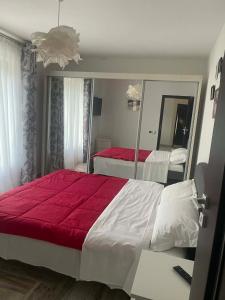 a bedroom with two beds and a large mirror at Mountain Bloom House in Galda de Sus