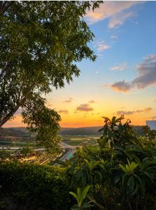 a view of a sunset from a hill with a tree at Atelier Luma in Zikhron Ya'akov