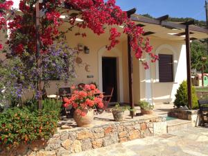 eine Gruppe Blumen in Töpfen auf einer Terrasse in der Unterkunft Fissi Villas agritourism accommodation near the sea in Agios Nikolaos