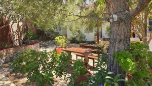 a picnic table and a tree in a garden at Persephone's Home in Skala