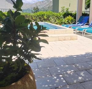 a plant in a pot next to a swimming pool at Villa Stanović Tea in Cavtat