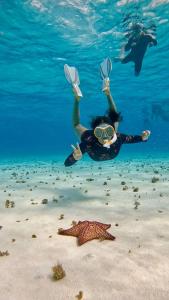 a person swimming in the water with a starfish at Handhuvaru Maldives in Milandu