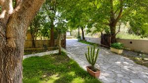 a cactus in a pot sitting next to a tree at Calderimi Lefkada in Nydri
