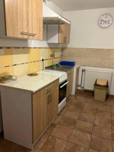 a kitchen with wooden cabinets and a counter top at Agroturystyka Na Jamie in Posada Jaśliska