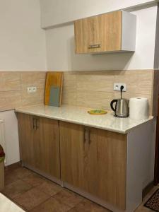 a kitchen counter with a tea kettle on it at Agroturystyka Na Jamie in Posada Jaśliska