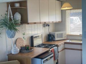 a small kitchen with a stove and a microwave at Beach Chalet Home in Scratby