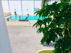 a pool in a building with a tree in the foreground at Ary Homestay Nyali At Pearl Residence 3rd Avenue Nyali, Mombasa, Kenya in Nyali