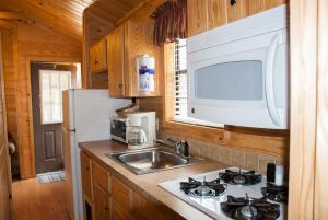 Medina Lake Camping Resort Cabin 3 في Lakehills: مطبخ مع حوض وميكروويف