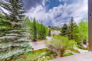 an overhead view of a road in a forest with trees at Beaver Creeks Meadows in Beaver Creek
