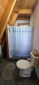 a bathroom with a toilet and a blue shower curtain at Cabaña Alpina Los Treiles in Panguipulli