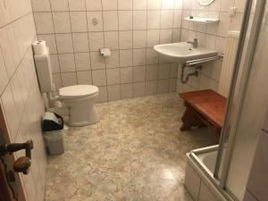 a bathroom with a toilet and a sink at hotel spiegeltaler eck in Wildemann