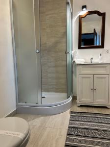 a bathroom with a shower and a toilet and a sink at Carpathian Soul Maramures in Bogdan Vodă +61 photos