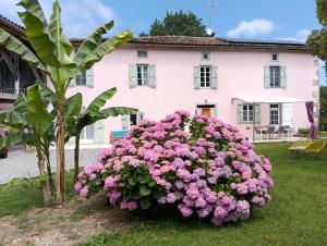 a pink house with a large bush of pink flowers at La salamandre de l'escat chambres et table d'hôtes in Montastruc-de-Salies