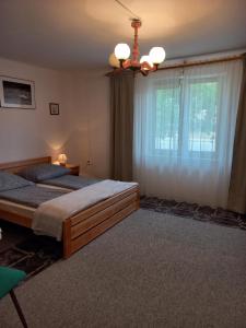 a bedroom with a large bed and a window at Domek u Jadzi in Zwierzyniec