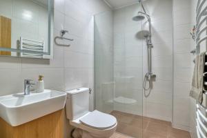 a bathroom with a shower and a toilet and a sink at Milver Apartments Kolasin in Kolašin +64 photos
