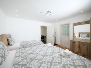 a bedroom with two beds and a dresser and a mirror at Endless View House in Gornji Rastiš