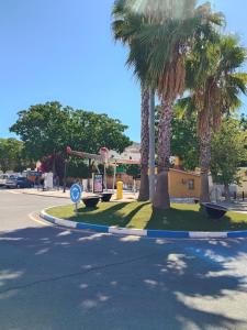 a park with palm trees on a street at Tiny house 4 metro stops from downtown in San Juan de Aznalfarache