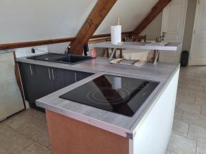 a kitchen with a counter with a sink and a stove at Rouvray 21 in Rouvray +3 photos