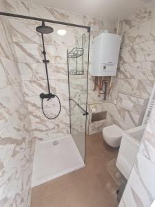 a bathroom with a shower and a toilet at Studio apartman Picok Đurđevac in Ðurđevac +10 photos